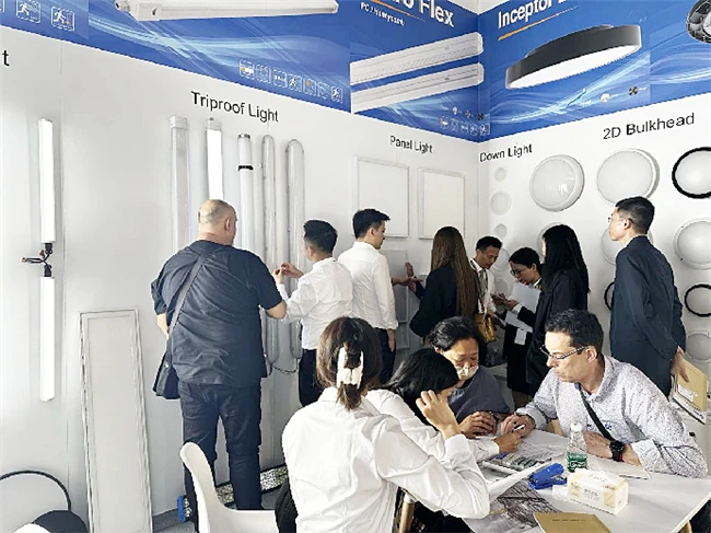 6 6